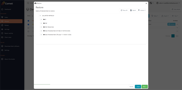 Comet hosted server Restore Wizard